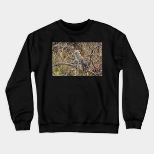 Leopard Cub, Serengeti National Park, Tanzania Crewneck Sweatshirt